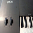 Yamaha Others Qs300