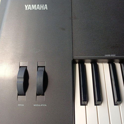 Yamaha Others Qs300