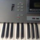 Yamaha Others Qs300