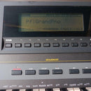 Yamaha Others Qs300