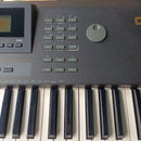 Yamaha Others Qs300