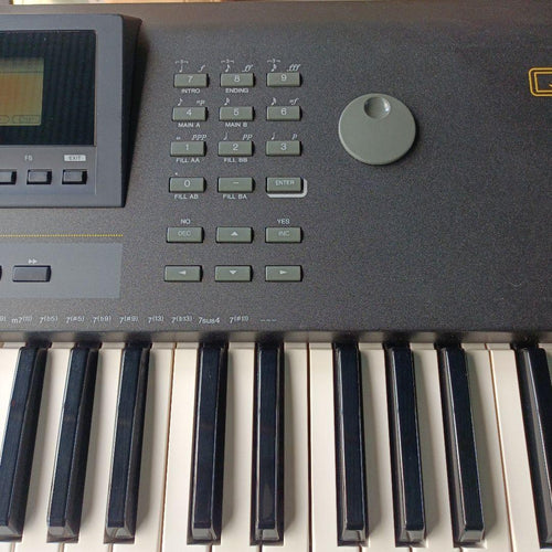 Yamaha Others Qs300
