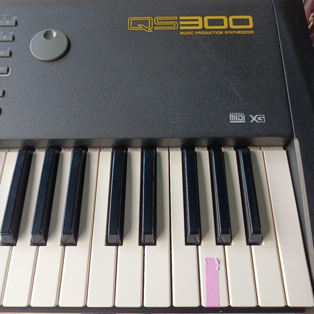 Yamaha Others Qs300