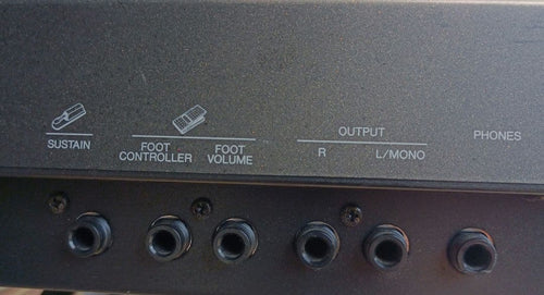Yamaha Others Qs300