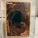 Yu-Gi-Oh! Ocg Duel Monsters (Foreign Languages)