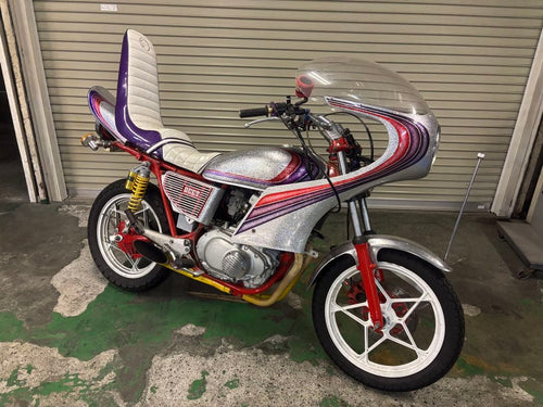 Suzuki Motorcycle Frames Gsx250E/T/L