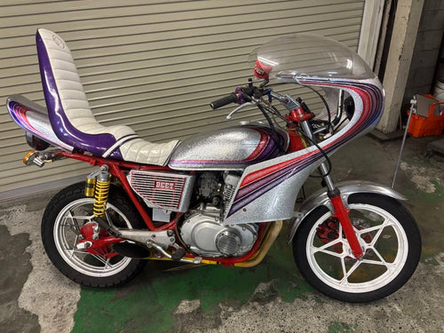 Suzuki Motorcycle Frames Gsx250E/T/L