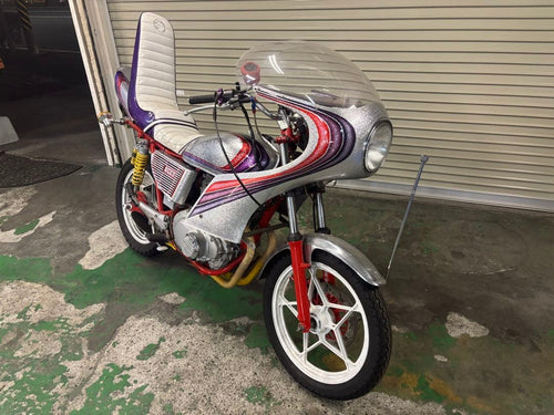 Suzuki Motorcycle Frames Gsx250E/T/L