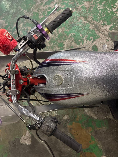 Suzuki Motorcycle Frames Gsx250E/T/L