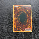 Yu -Gi -Oh! Ocg Duel Monsters (Foreign Language Version) Storm Shooter