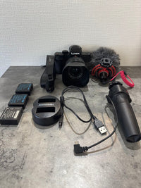 Mirrorless Interchangeable Lens Cameras Lumix Dc-G100