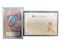 Yu -Gi -Oh! Ocg Duel Monsters Ars10+