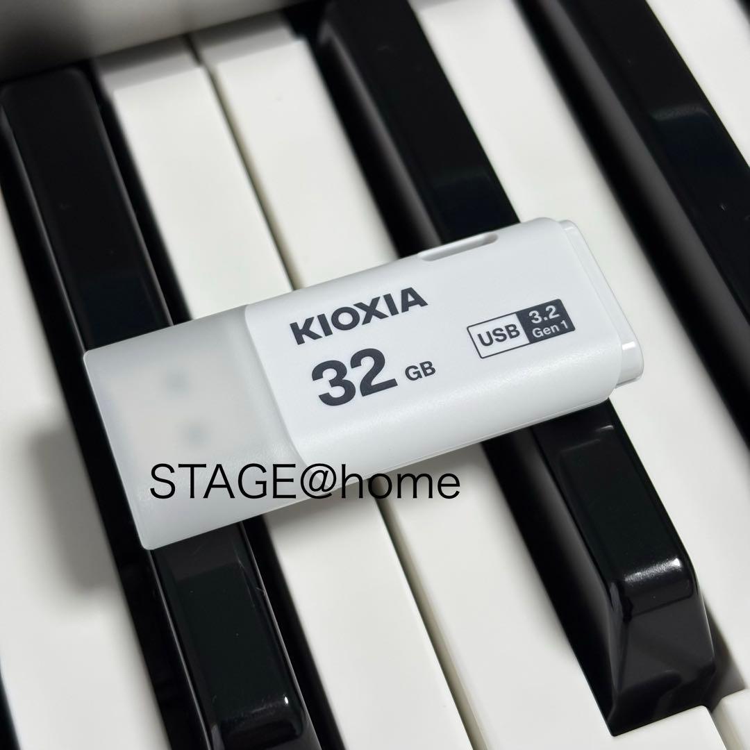 Electronic Organs Usb 03