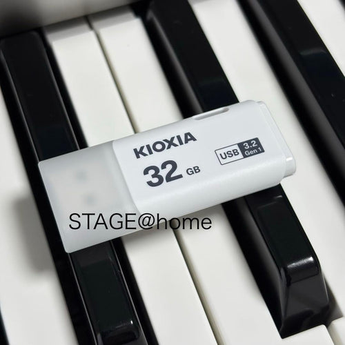 Electronic Organs Usb 03