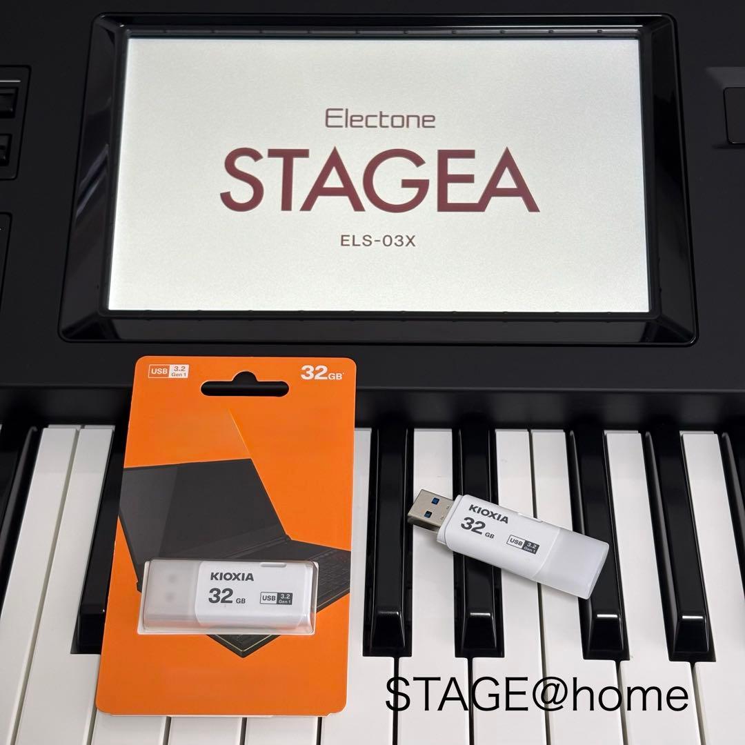 Electronic Organs Usb 03