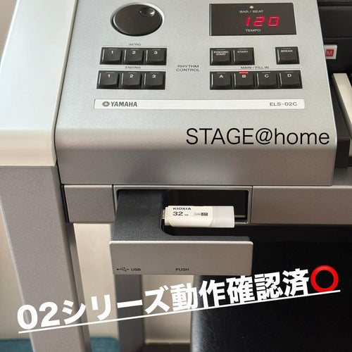 Electronic Organs Usb 03