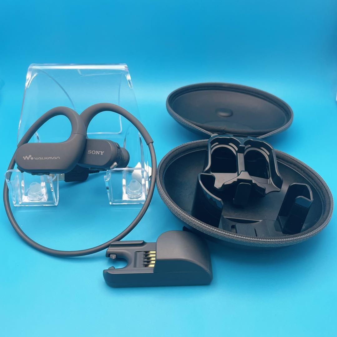 Sony Digital Audio Players Walkman Nw-Ws413 4Gb