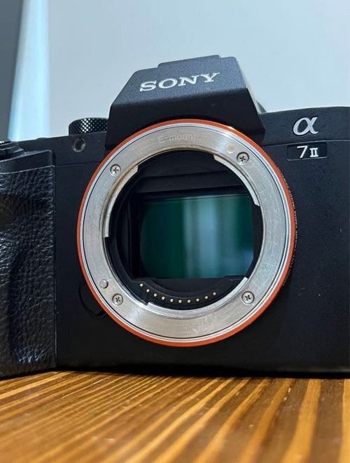 Sony Mirrorless Interchangeable Lens Cameras 7
