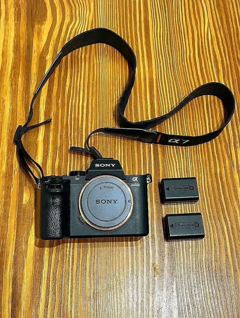Sony Mirrorless Interchangeable Lens Cameras 7
