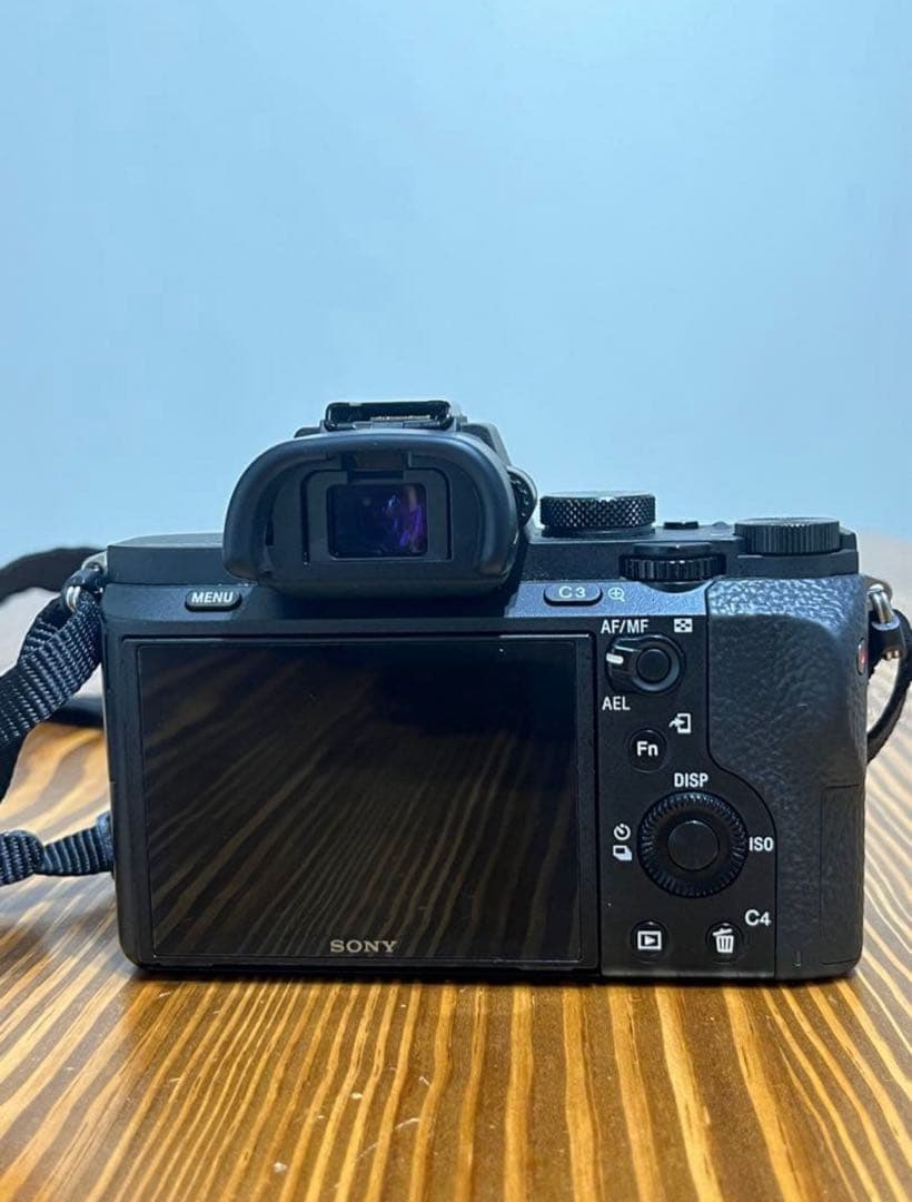 Sony Mirrorless Interchangeable Lens Cameras 7