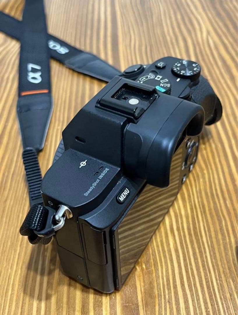 Sony Mirrorless Interchangeable Lens Cameras 7
