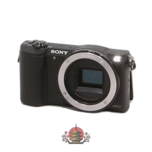 Sony Mirrorless Interchangeable Lips 5100 Ilce-5100 269