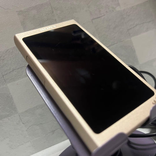 Sony Digital Audio Player Nw-A45
