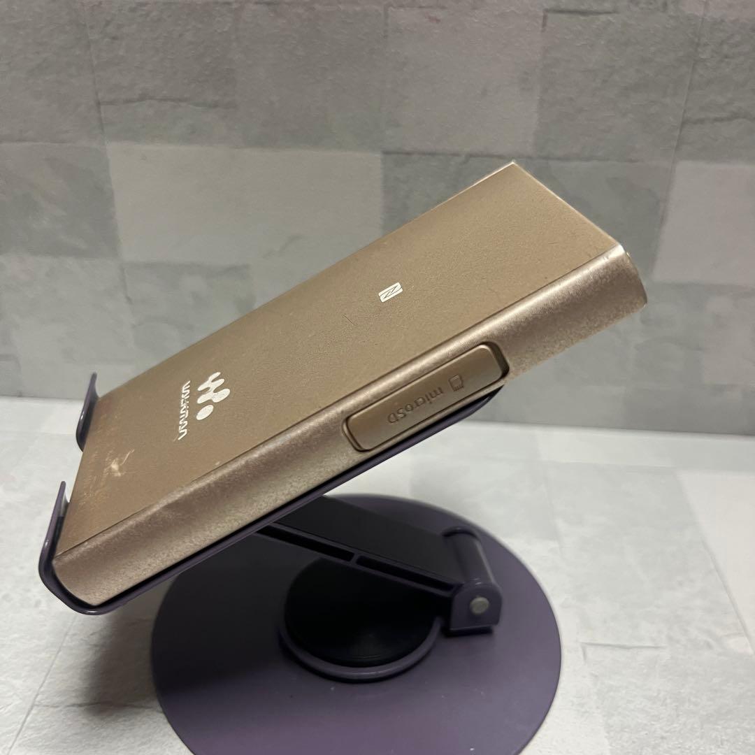 Sony Digital Audio Player Nw-A45