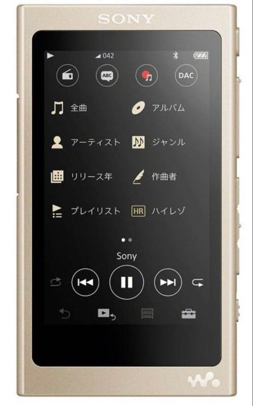 Sony Digital Audio Player Nw-A45