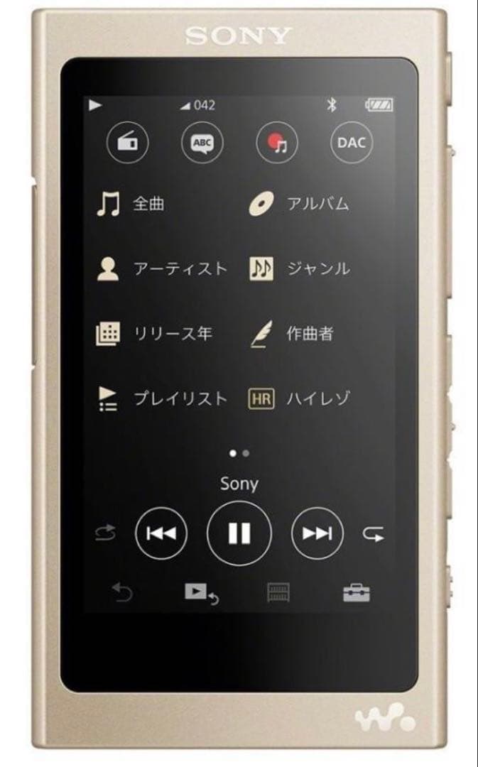Sony Digital Audio Player Nw-A45