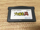 Soft Gba B209