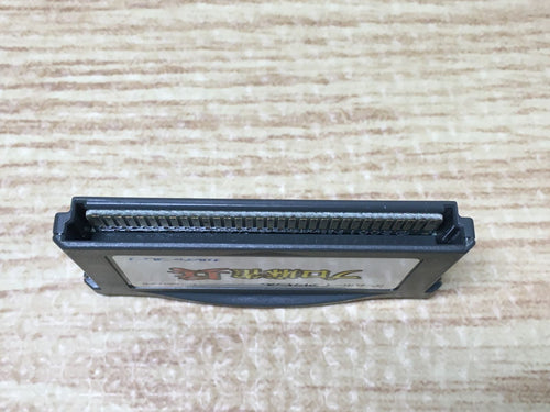 Soft Gba B209