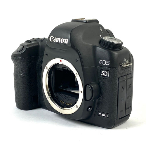 Canon Digital Slr Eos 5D Mark Ii Ef 24-105L Is Usm