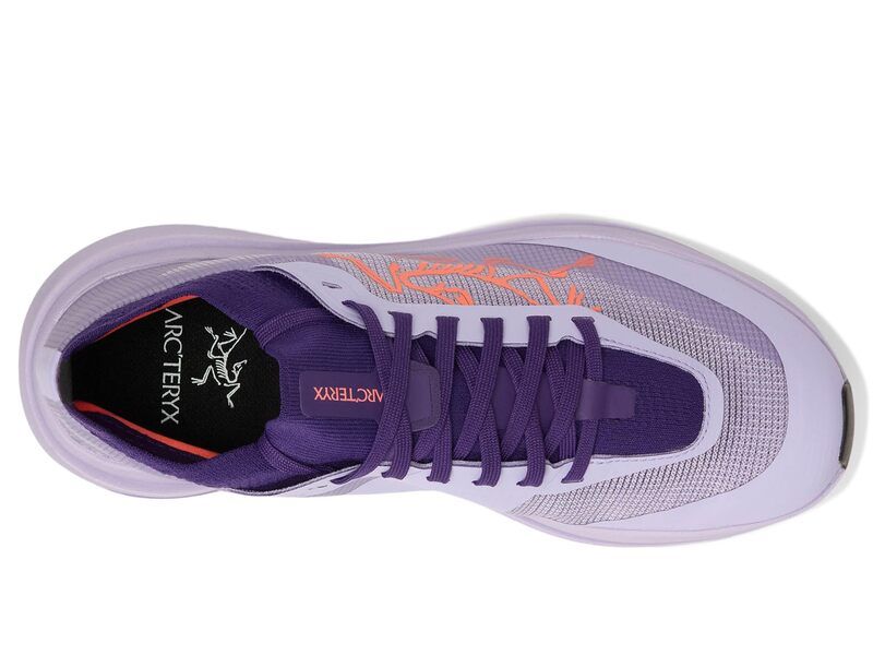 Sneakers Arcteryx Sylan Pro Light Asterlight Aster