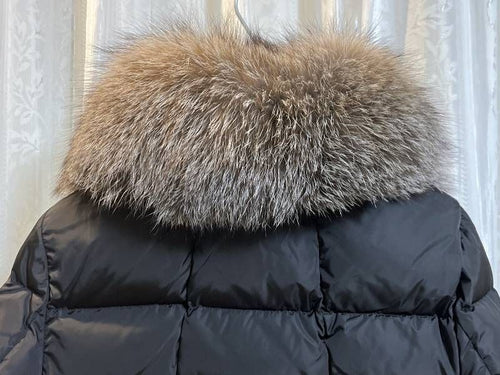 Moncler Down Jacket Hirondelle 00