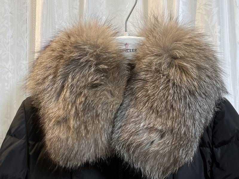 Moncler Down Jacket Hirondelle 00