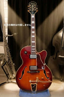 Epiphone Electric Guitar Emperorii