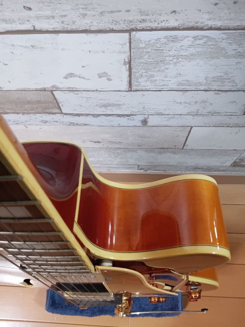 Epiphone Electric Guitar Emperorii