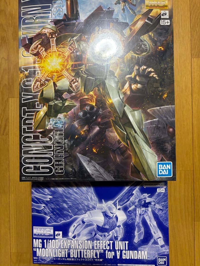 Mobile Suit Gundam Mg (Master Grade) 1/100 X