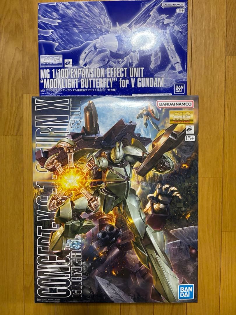 Mobile Suit Gundam Mg (Master Grade) 1/100 X