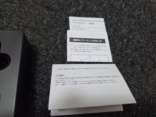 Wireless Earphones Onkyo