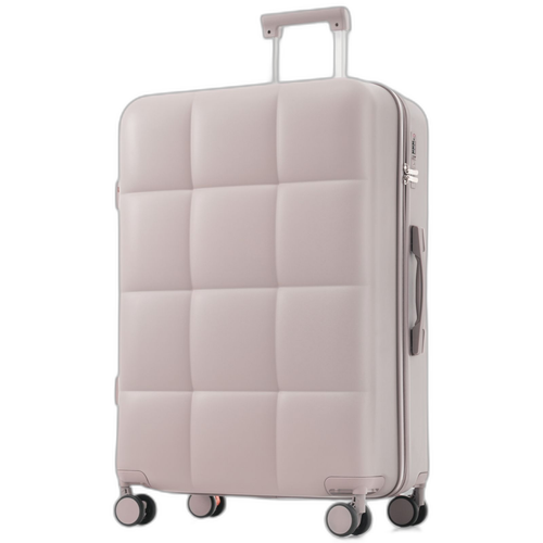 Carry Case L Tsa 360