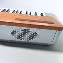 Yamaha Keyboards Digital Pianos 88 P-120