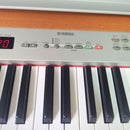 Yamaha Keyboards Digital Pianos 88 P-120
