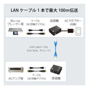 Ratoc Systems Others Rs-Daex100 (2683289)