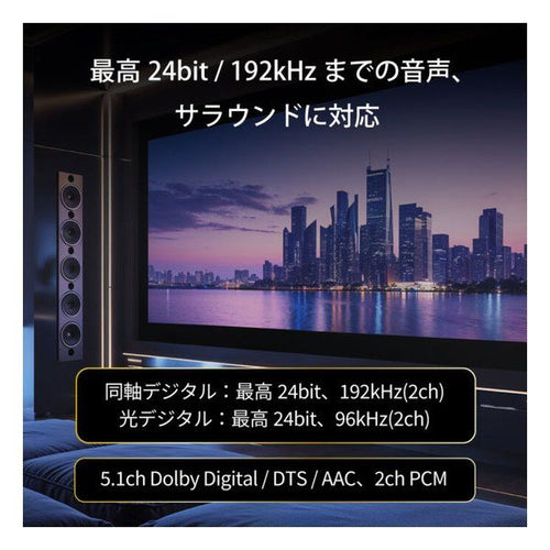 Ratoc Systems Others Rs-Daex100 (2683289)