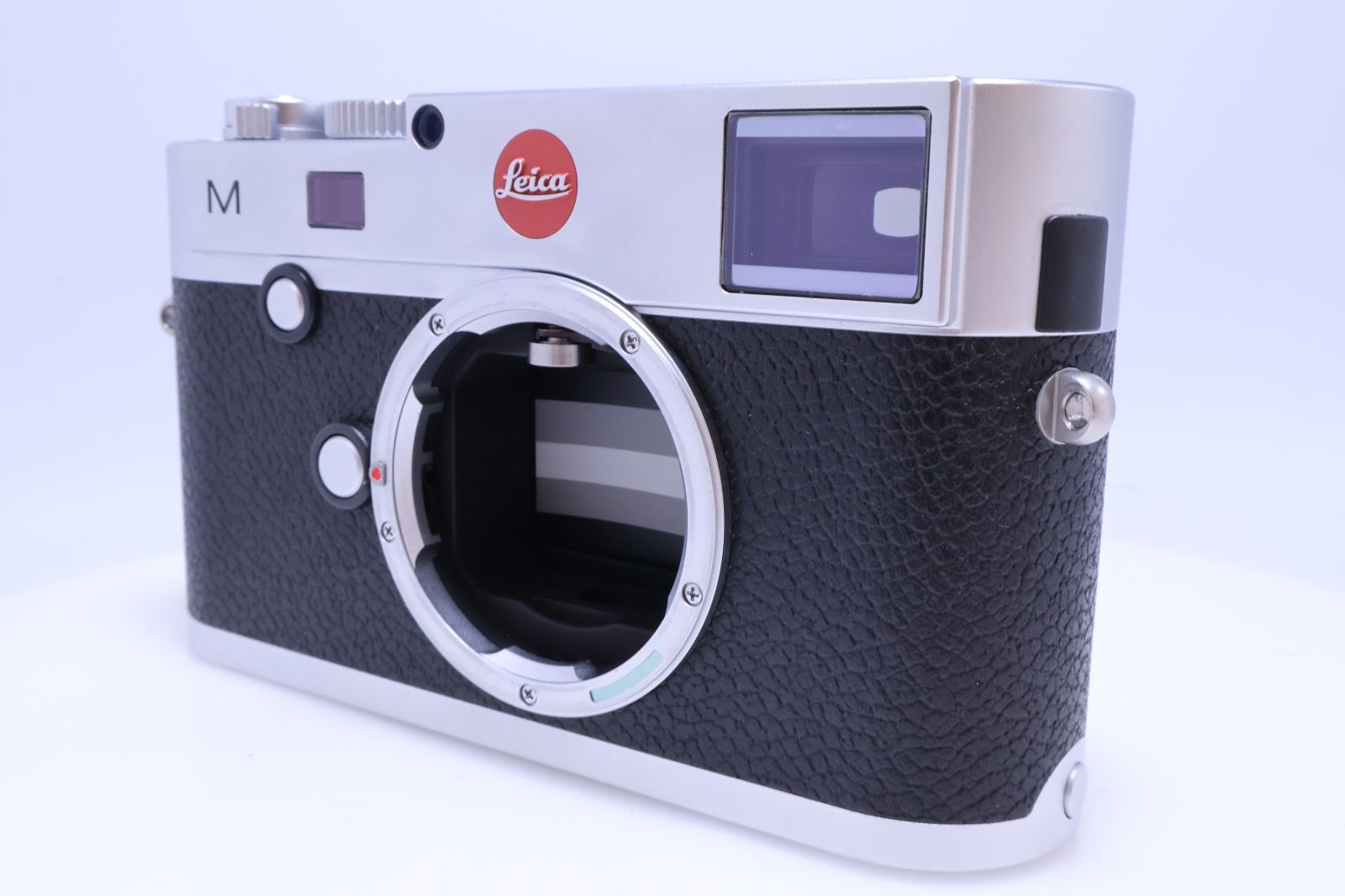 Leica Digital Slr M (Silver)(