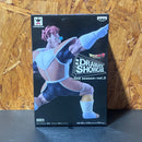 Banpresto Dragon Ball Z Dramatic Showcase 2Nd Season Vol.3