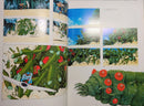 Pamphlet