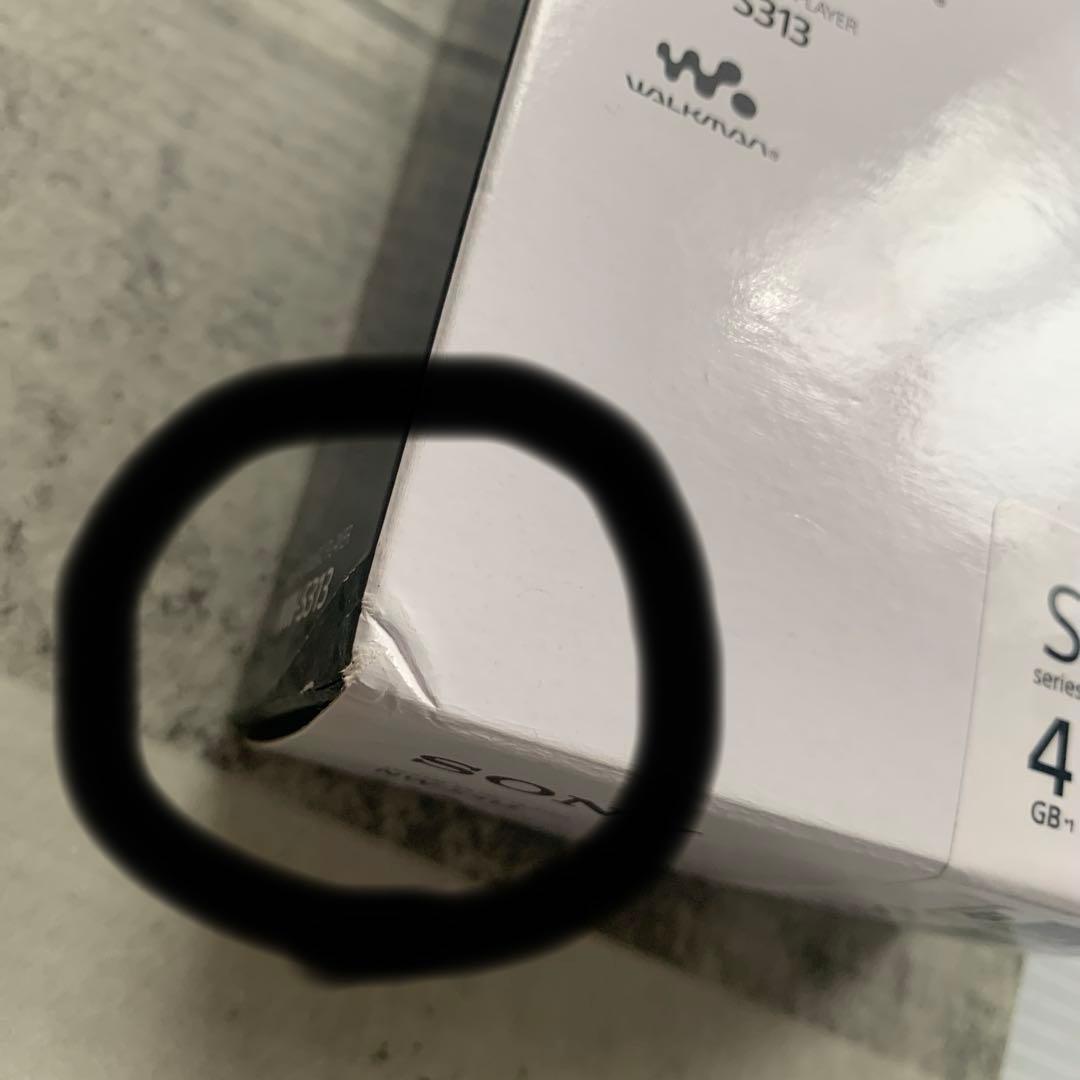Sony Digital Audio Players Nw-S313 4Gb